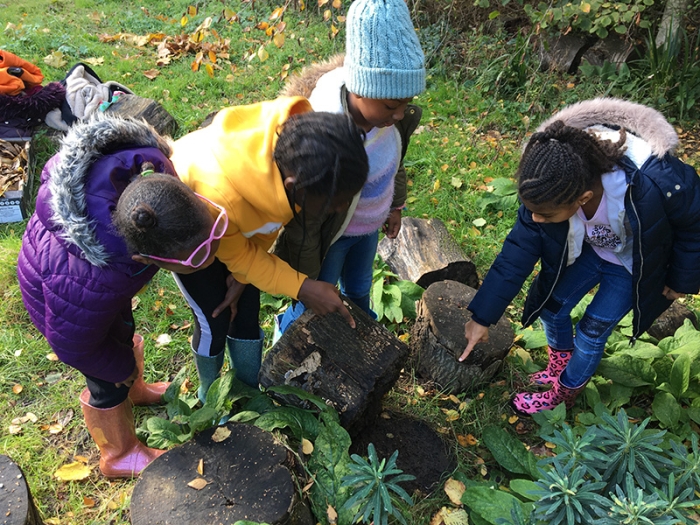 children exploring in a garden