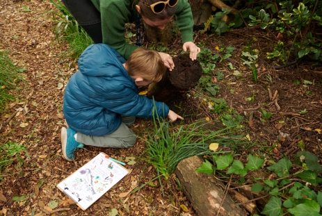 Bughunting 1769166398