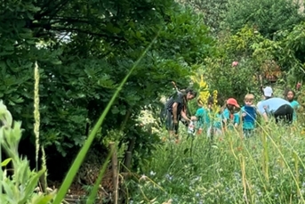 Citysaplings Header1