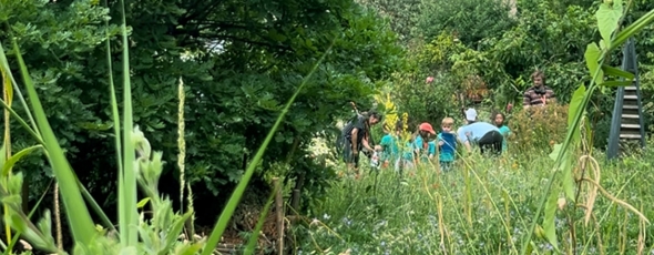 Citysaplings Header1