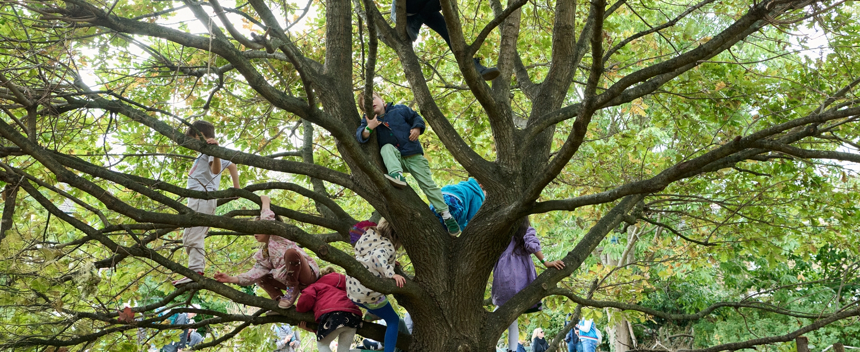 Citysaplings Header3