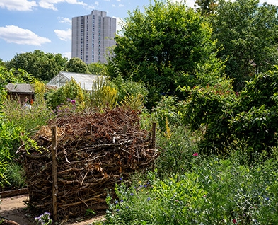 Cta Wild Garden