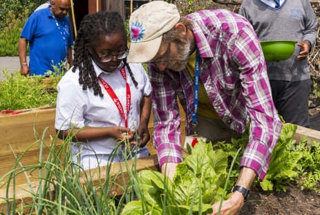 Ctiysaplisg Foodgrowing