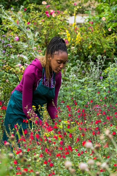 Envnironmental Projects Floristry