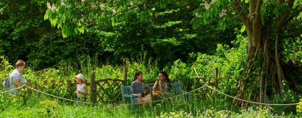 Flourishfest2024 Banner