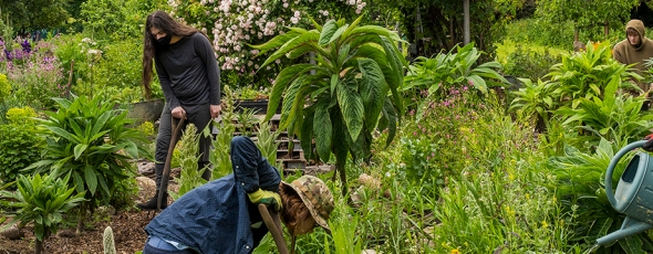 Hortiawards Banner2