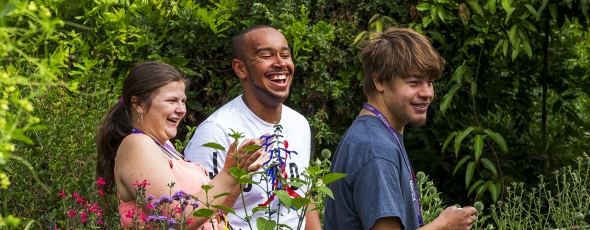 Nextsteps2026 Banner