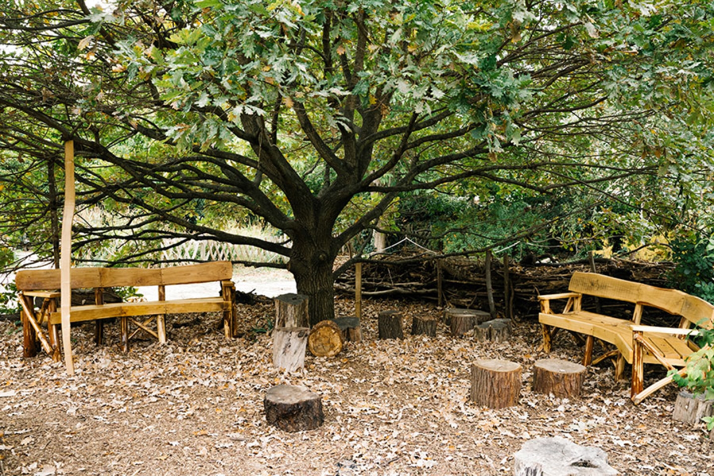 Oaktreeclassroom Colours2