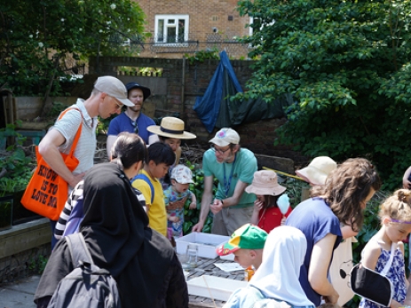 Pond Dipping Splash