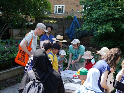 Pond Dipping3 1687428788