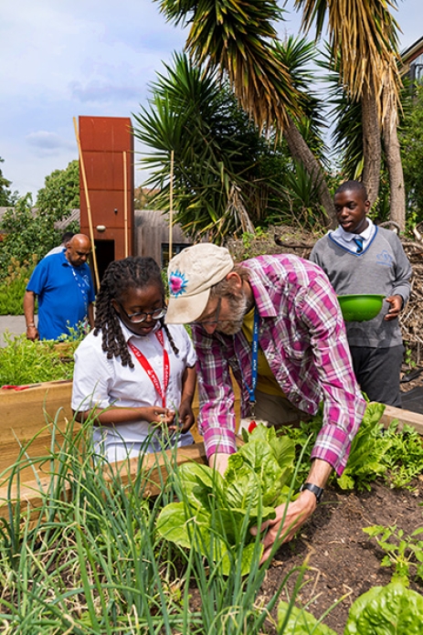 Raised Beds Joestudent