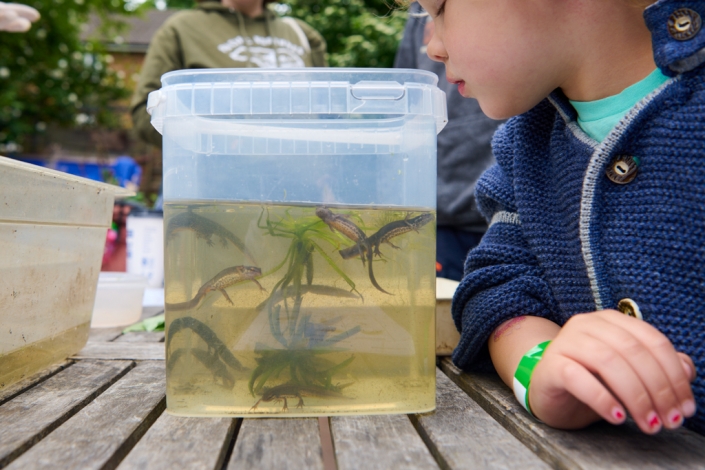 Roots Shoots 19 05 25 13