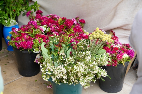 Roots Shoots 19 05 25 2