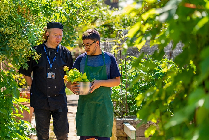 Urban Growing Catering