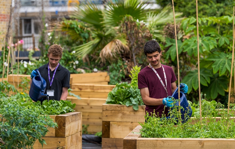 Urban Growing Students