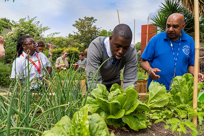 Urban Growing Students2