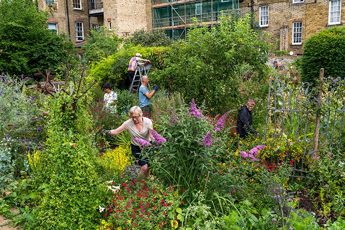 Wildgarden Volunteers